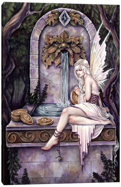 Fairy Wishing Well Canvas Art Print - Selina Fenech