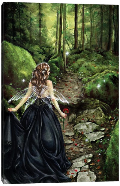Along The Forest Path Canvas Art Print - Wings Art