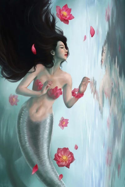 Lotuses: Mirror Mirror by Selina Fenech