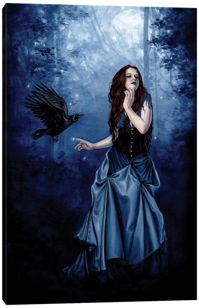 Shades Canvas Art Print - Raven Art