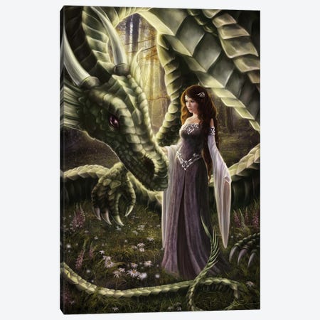 To Meet A Dragon Canvas Print #SFH57} by Selina Fenech Canvas Art Print