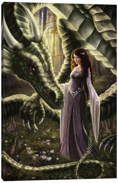 To Meet A Dragon Canvas Art Print - Witch Art