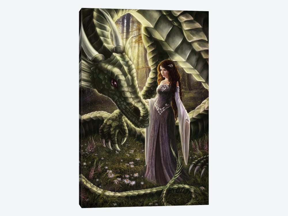 To Meet A Dragon by Selina Fenech 1-piece Art Print