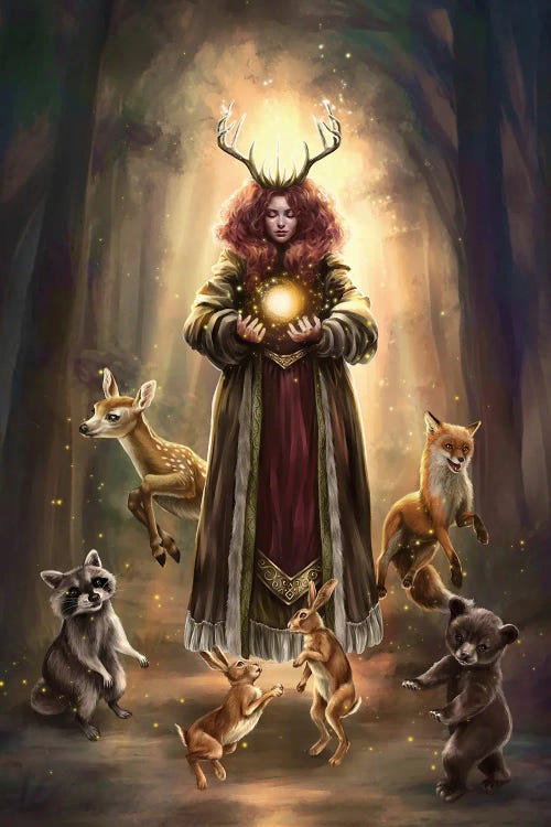 Woodland Magic by Selina Fenech wall art