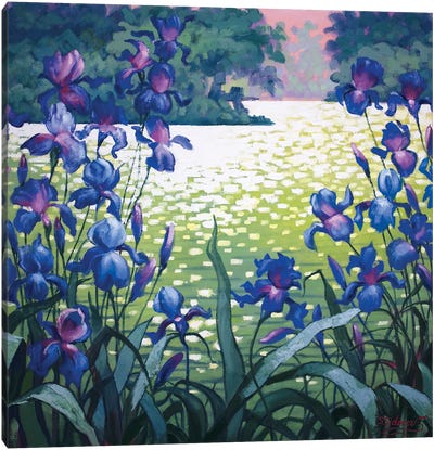Sun Glare And Morning Irises Canvas Art Print - Iris Art