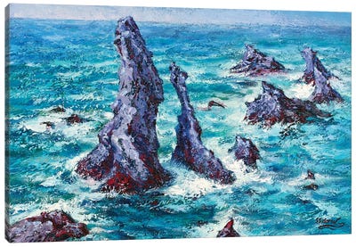 Rocks At Belle-Ele  Canvas Art Print - Sidorov Fine Art