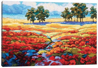 Summer Flower Field Canvas Art Print - Sidorov Fine Art