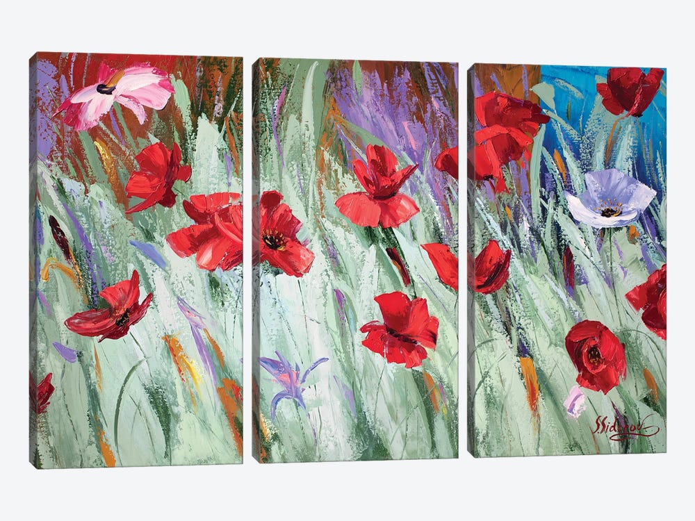 Field Of Poppies by Sidorov Fine Art 3-piece Canvas Art