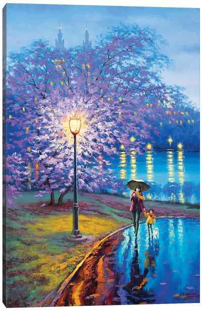 Cherry Blossom. Central Park. New York. Canvas Art Print - Sidorov Fine Art