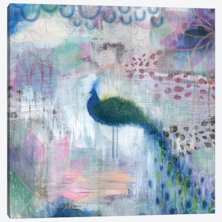 Peacock Canvas Print #SFR110} by Sara Franklin Canvas Art