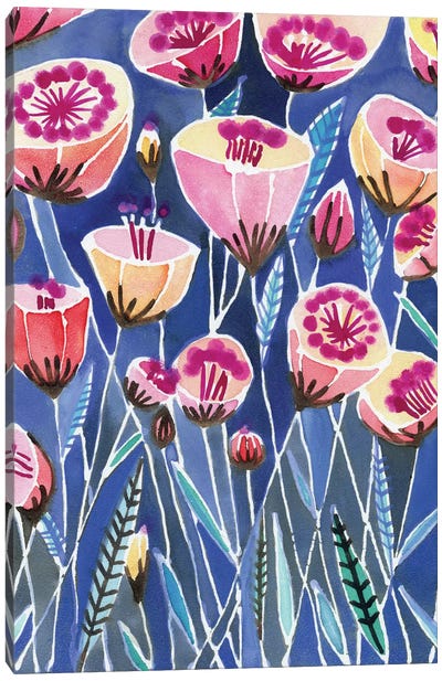 Poppies Of Caliofornia Canvas Art Print - Sara Franklin