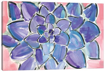 Purple Succulent Canvas Art Print - Sara Franklin