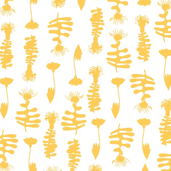 Sara Franklin: Thistles by Sara Franklin