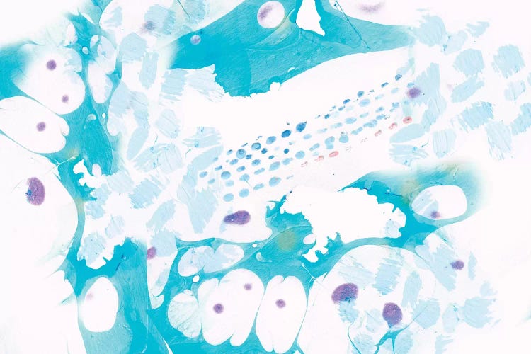Turquoise Marble by Sara Franklin canvas print