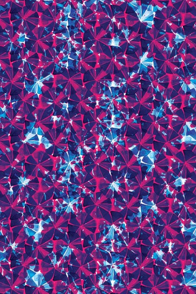 Urchins by Sara Franklin multi panel art