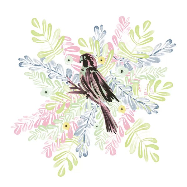 Parrots: Wild Parrot by Sara Franklin