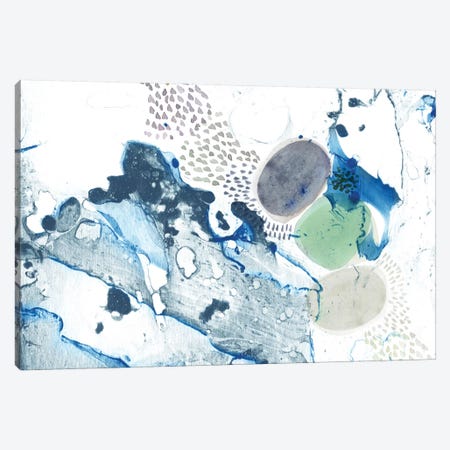 Blue Marble Canvas Print #SFR17} by Sara Franklin Canvas Print
