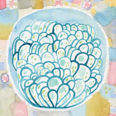 Blue Terrarium by Sara Franklin framed canvas print