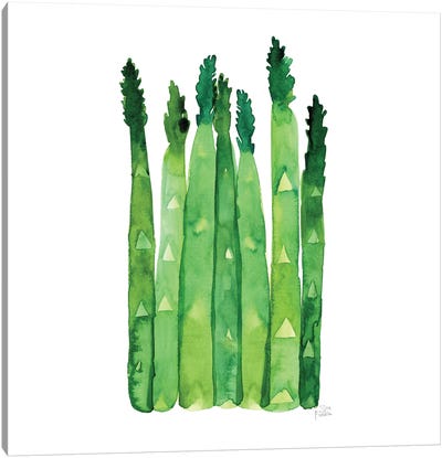 Asparagus Canvas Art Print - Vegetable Art