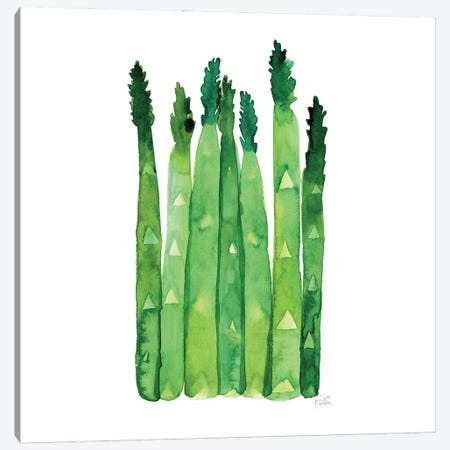Asparagus Canvas Print #SFR195} by Sara Franklin Art Print