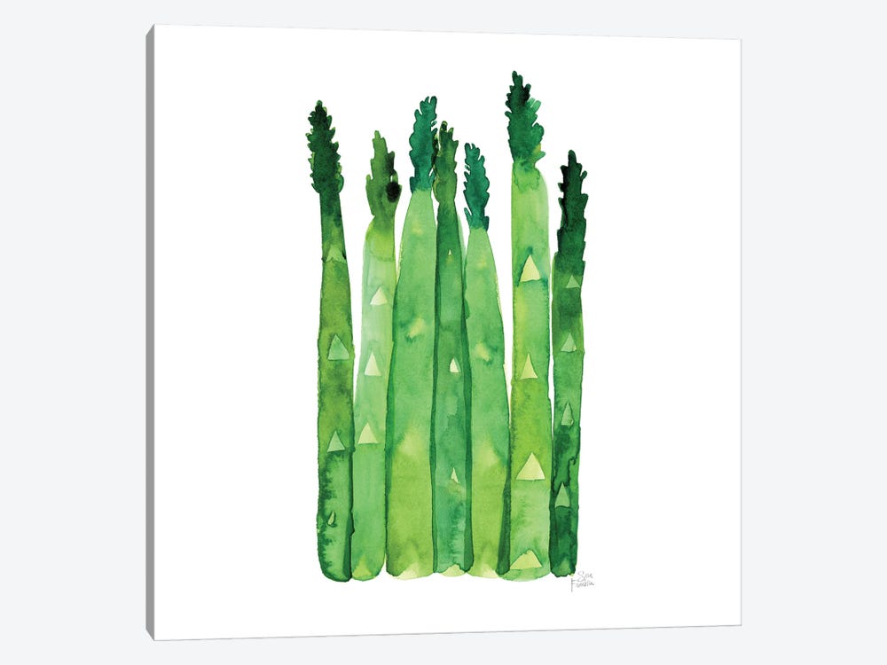 Asparagus by Sara Franklin 1-piece Canvas Art