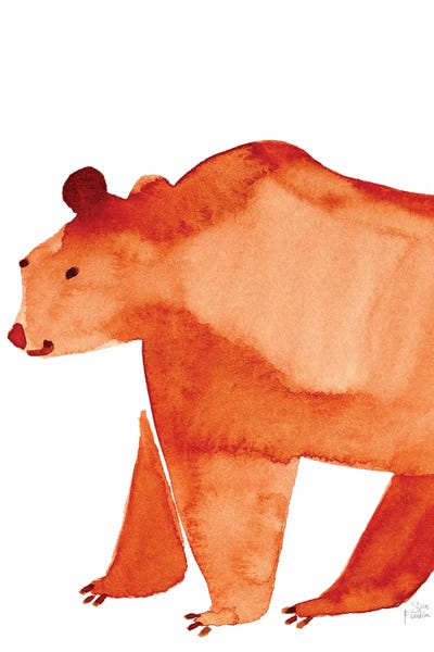 Brown Bears: Bear by Sara Franklin