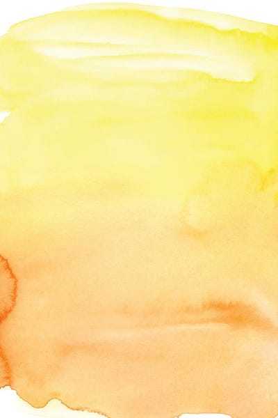 Citron by Sara Franklin metal wall art