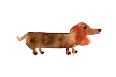 Dachshund by Sara Franklin metal wall art