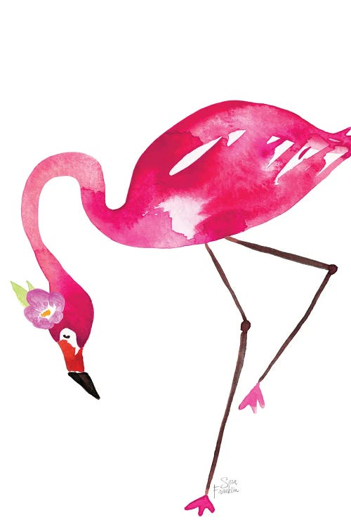 Flamingo Flaunt by Sara Franklin wall art