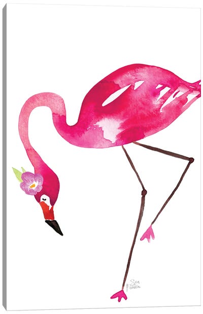 Flamingo Flaunt Canvas Art Print - Sara Franklin
