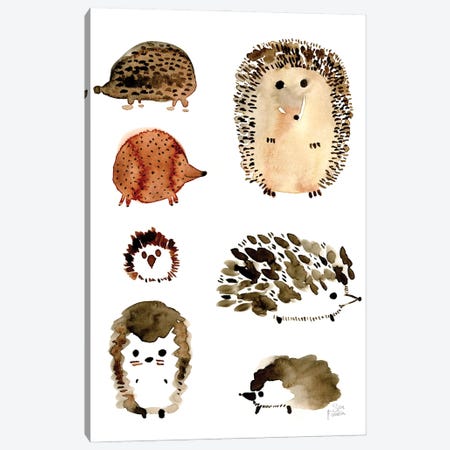 Hedgehogs Canvas Print #SFR208} by Sara Franklin Canvas Artwork