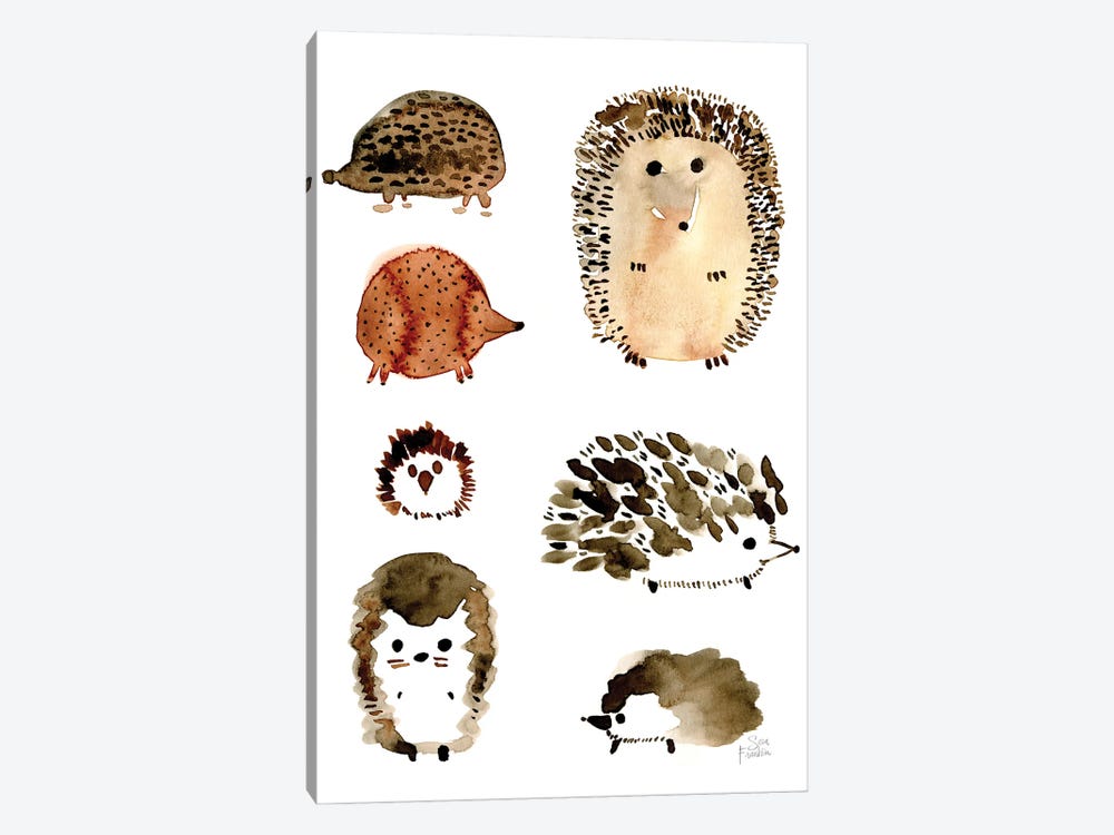 Hedgehogs by Sara Franklin 1-piece Canvas Art