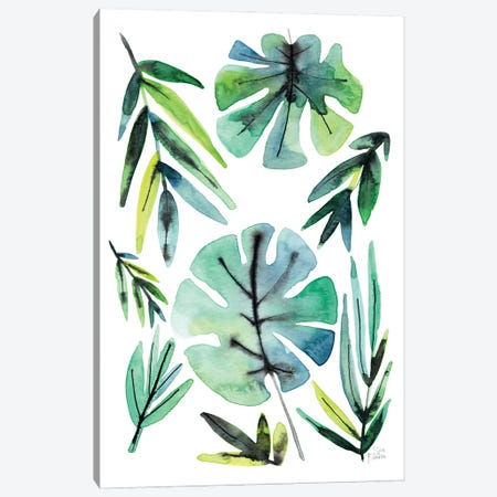 Tropical Leaves Canvas Print #SFR210} by Sara Franklin Canvas Art Print