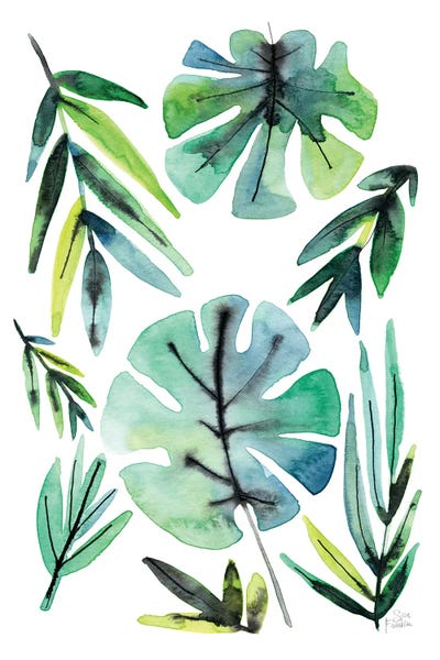 Sara Franklin: Tropical Leaves by Sara Franklin