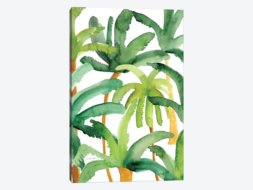 Palms by Sara Franklin 1-piece Canvas Artwork