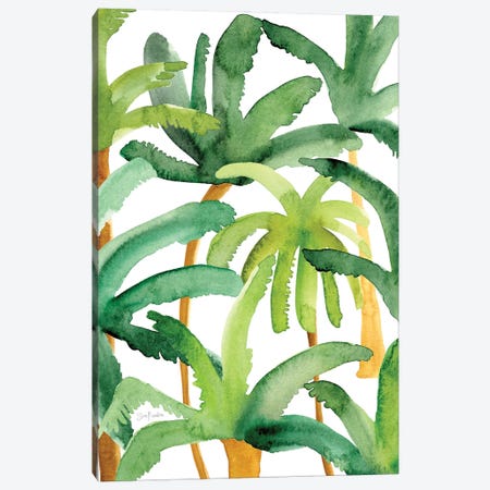 Palms Canvas Print #SFR213} by Sara Franklin Art Print