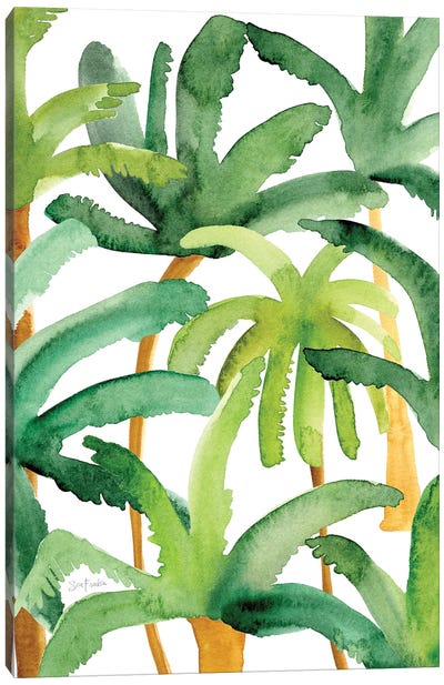 Palms Canvas Art Print - Sara Franklin