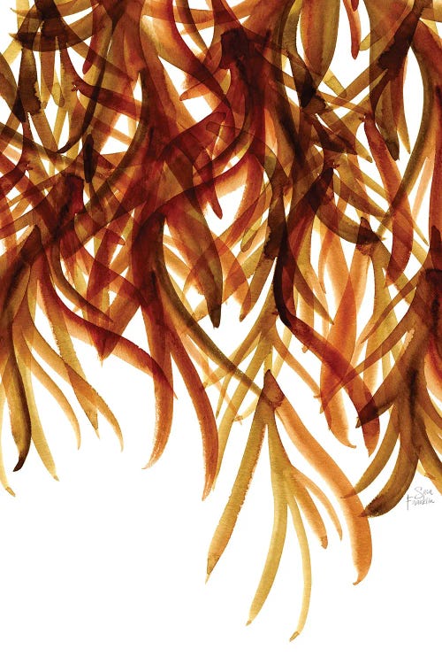 Seaweed by Sara Franklin wall art