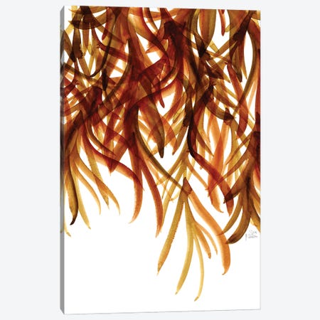 Seaweed Canvas Print #SFR215} by Sara Franklin Canvas Art