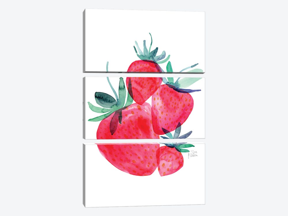 Strawberries by Sara Franklin 3-piece Canvas Wall Art