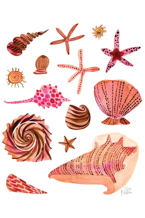 Seashells by Sara Franklin wall art