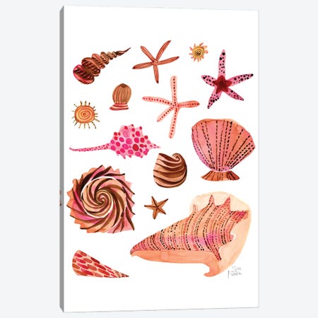 Seashells Canvas Print #SFR218} by Sara Franklin Art Print