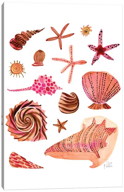 Seashells Canvas Art Print - Sara Franklin