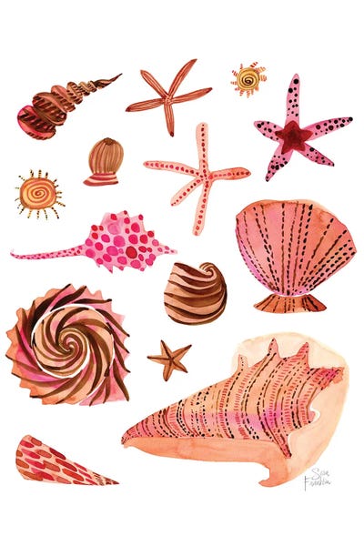 Sara Franklin: Seashells by Sara Franklin
