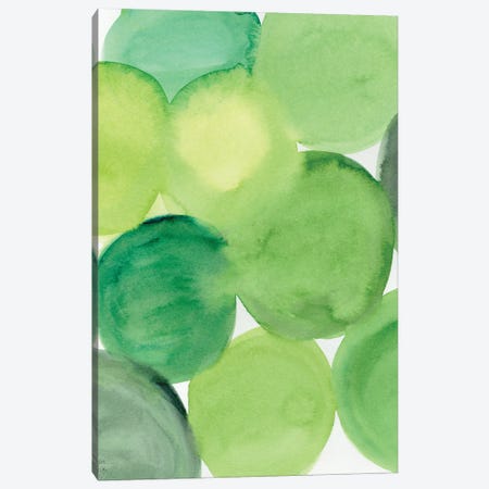 Succulent Green Canvas Print #SFR220} by Sara Franklin Canvas Artwork