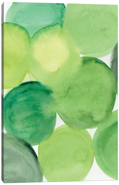 Succulent Green Canvas Art Print - Circular Abstract Art