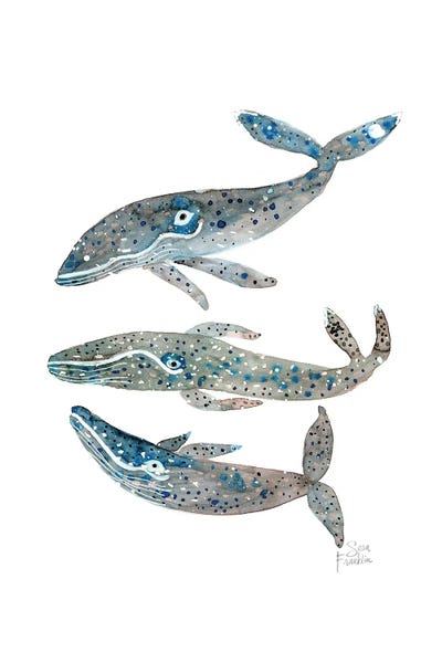 Whales by Sara Franklin canvas print