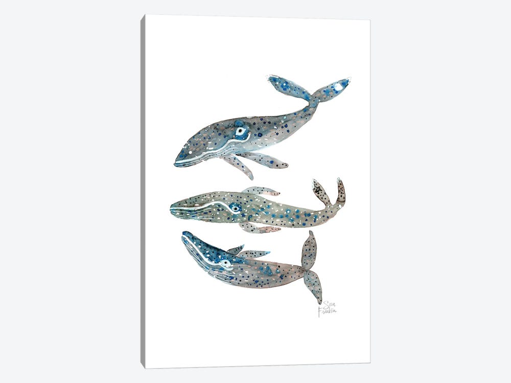 Whales by Sara Franklin 1-piece Canvas Art Print