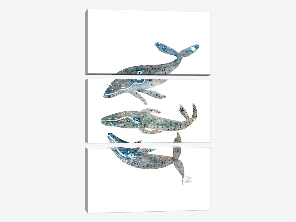 Whales by Sara Franklin 3-piece Canvas Art Print