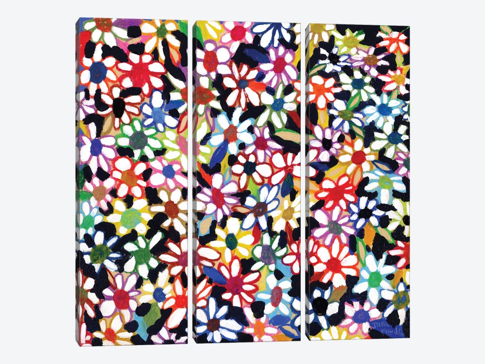 Rainbow Flower Fields by Sara Franklin 3-piece Canvas Art Print